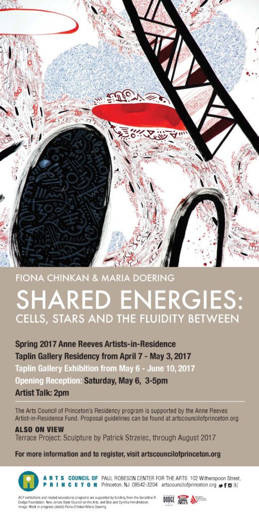 Fiona Chinkan and Maria Doering - Shared Energies: Cells, Stars and the Fluidity between at the Taplin Gallery at the Arts Council of Princeton